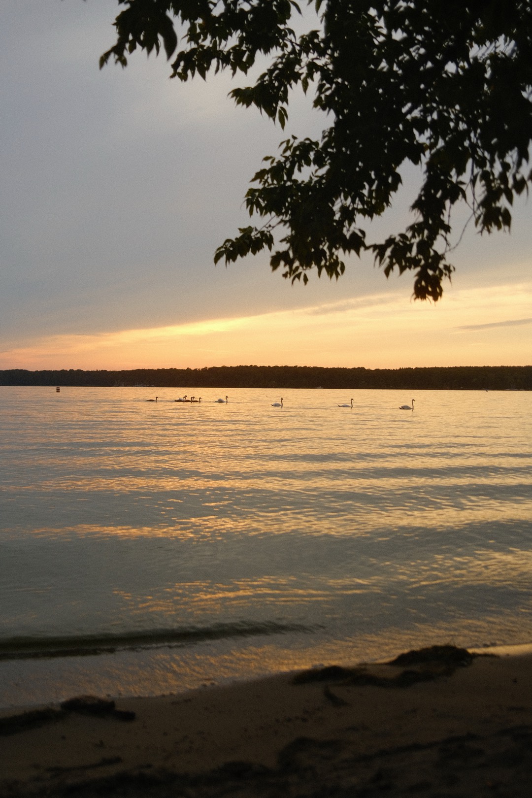 Sonnenuntergang über einem See
