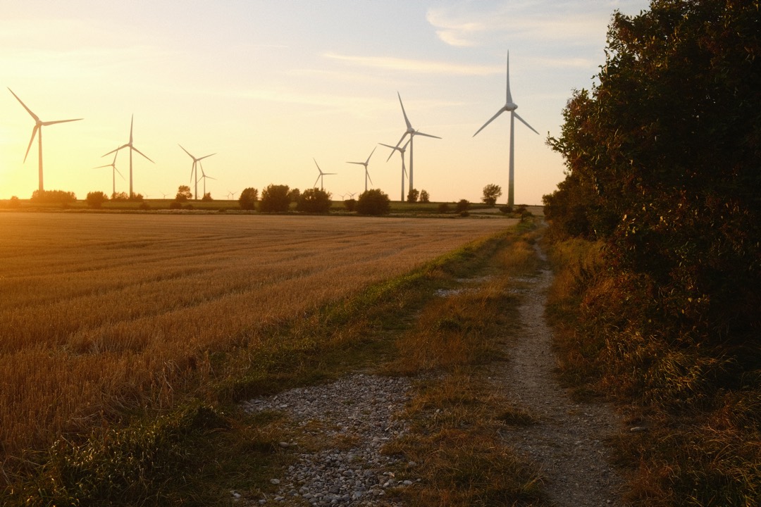 Feldweg mit Windrädern im Abendlicht