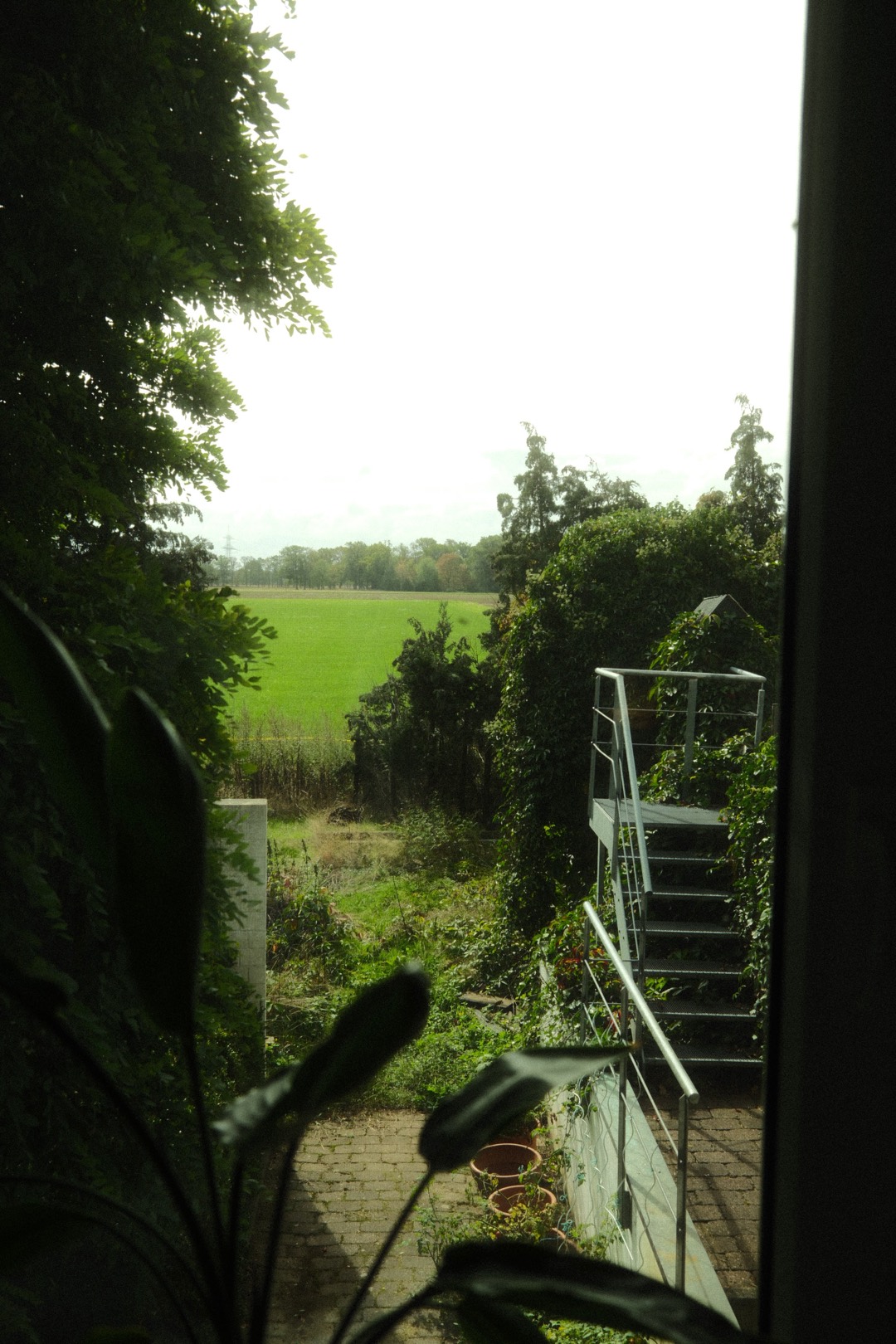 Blick aus einem dunklen Raum ins Grüne