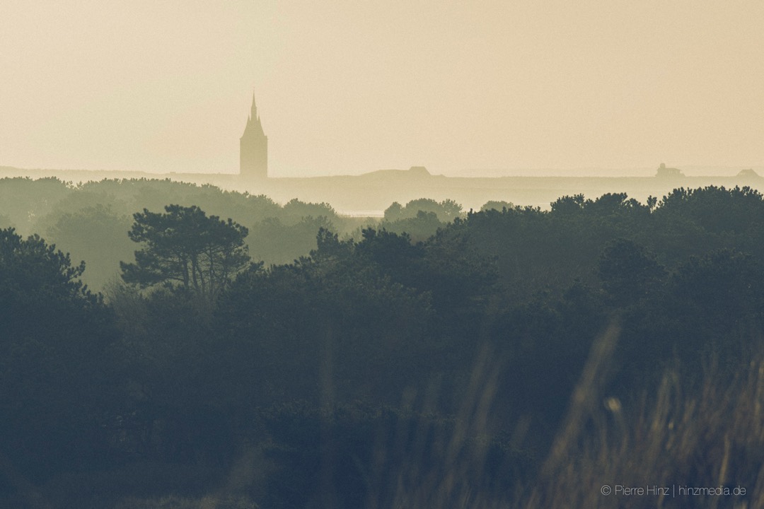 Wald im Nebel, dahinter ein Turm