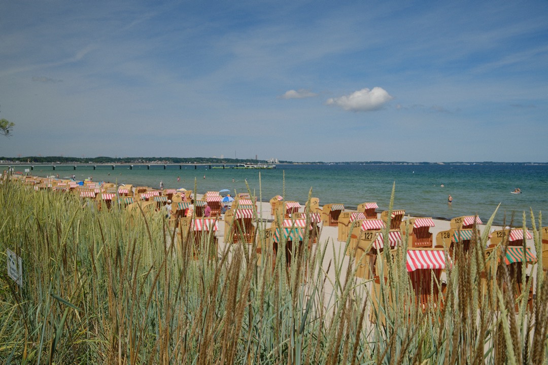 Strandkörbe hinter Dünengras