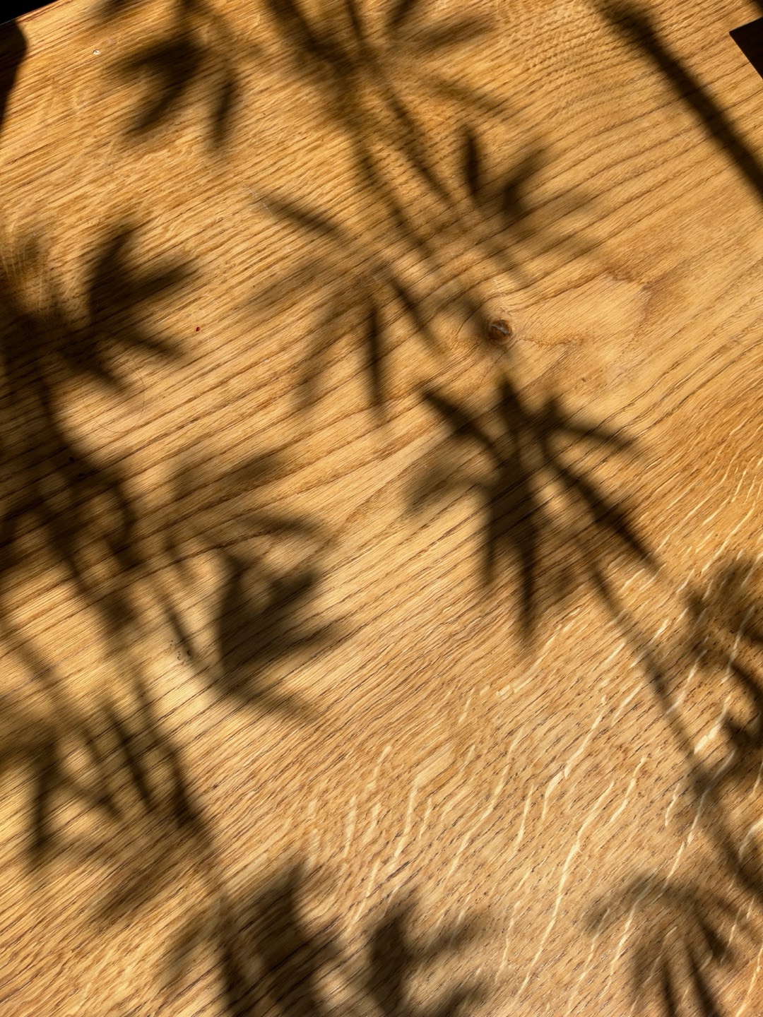 Schatten von Blättern auf einem Holztisch