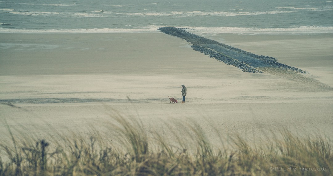 Buhne am Strand im Winterlicht